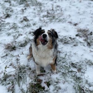 Meet your Posher, Jaycie